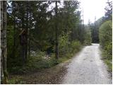 Stara Fužina - Planina Zgornja Grintovica